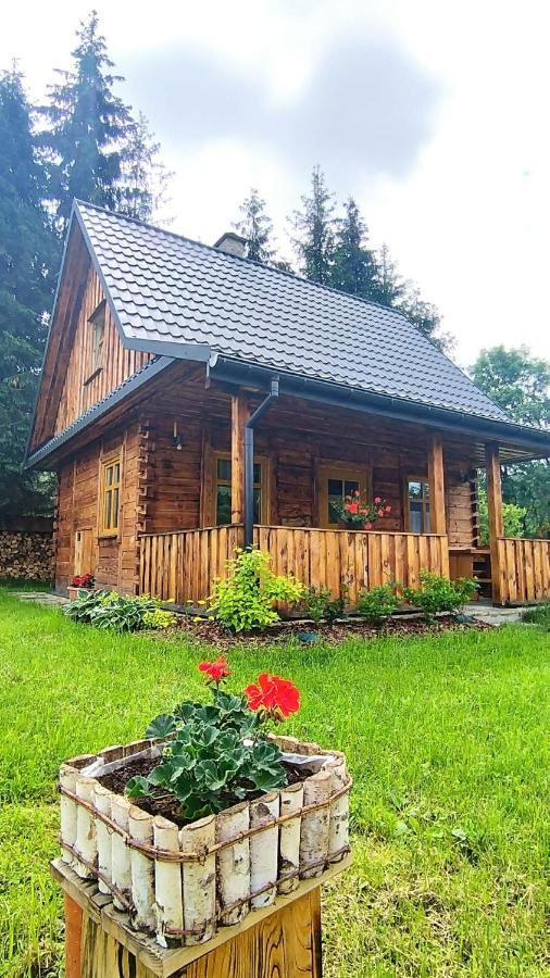 Osada Strusie Jajo W Bieszczadach * Ustrzyki Dolne